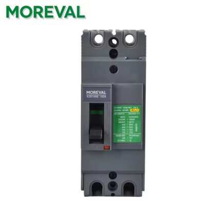 2P 100A EZC Molded Case Circuit Breaker